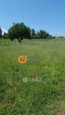 Terreno agricolo in commerciale in Via della Mentuccia