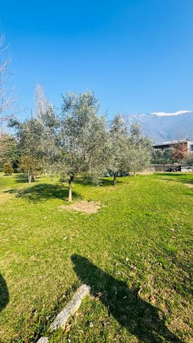 Terreno agricolo in commerciale in Via Canale