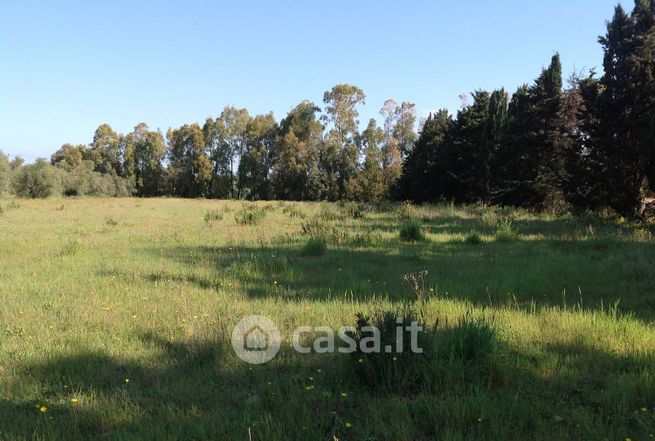 Terreno agricolo in commerciale in santa maria la palma