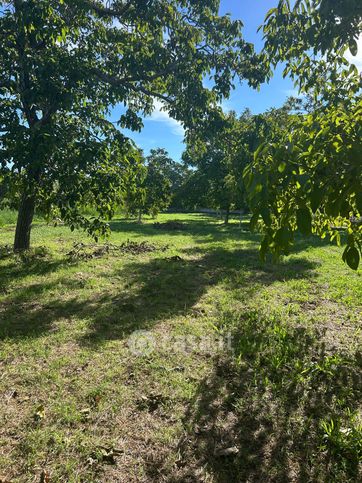 Terreno agricolo in commerciale in Via Duca di Salza 16