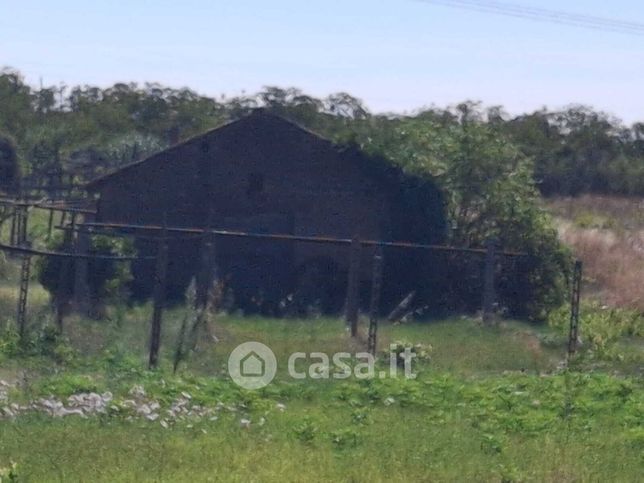 Terreno agricolo in commerciale in Fontanelle Di Pallavicini 35