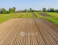 Terreno agricolo in commerciale in Corso Vittorio Emanuele II 3