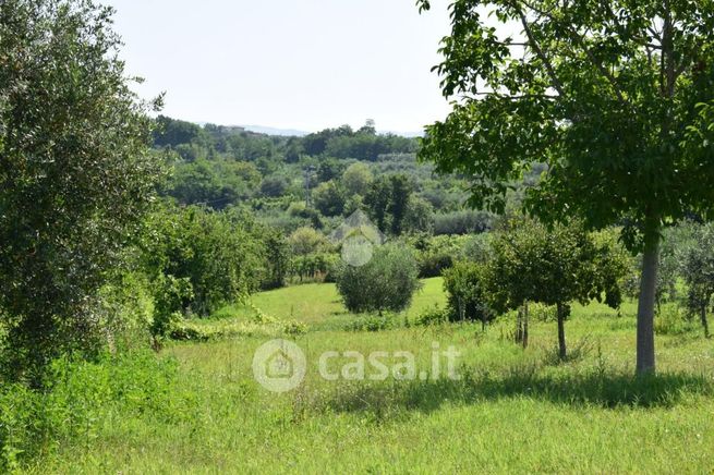 Terreno agricolo in commerciale in Contrada Presta