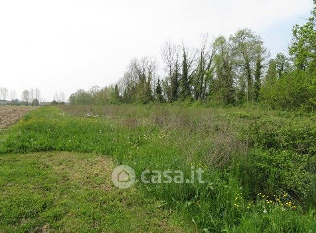Terreno agricolo in commerciale in Via Cavin Caselle