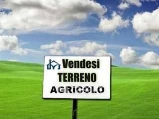 Terreno agricolo in commerciale in Via E. Che Guevara 56