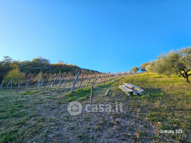 Terreno agricolo in commerciale in 