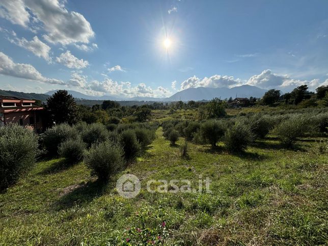 Terreno agricolo in commerciale in Strada Provinciale 185