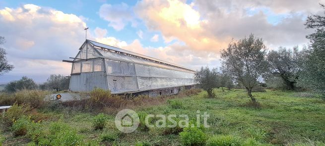 Terreno agricolo in commerciale in Contrada Croce Nivera