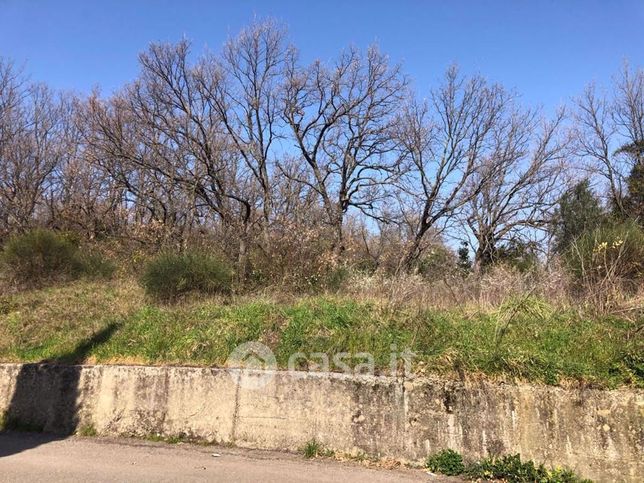 Terreno agricolo in commerciale in Via Tommaso Arnoni