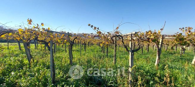 Terreno agricolo in commerciale in Via XXII Rubbia 41