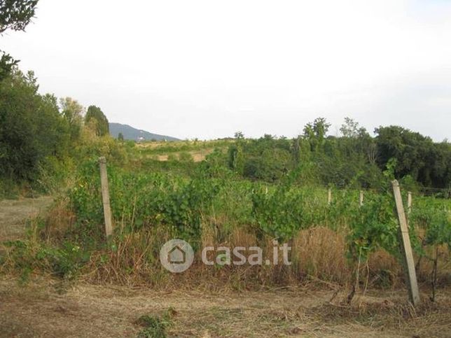 Terreno agricolo in commerciale in Via Anagnina 20