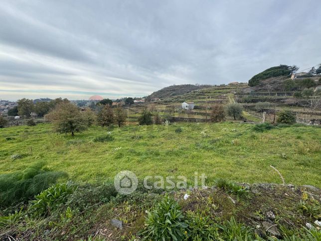 Terreno agricolo in commerciale in Via Ronzini 63