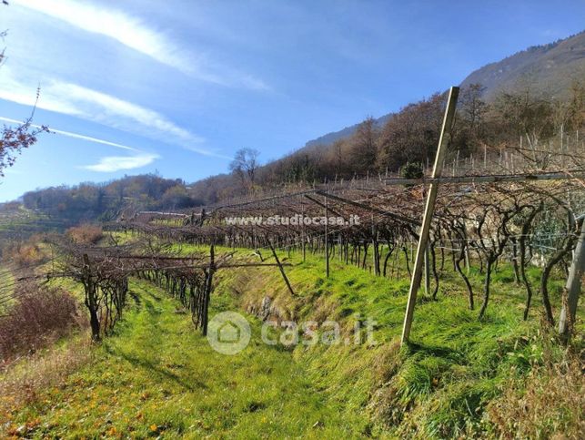 Terreno agricolo in commerciale in 