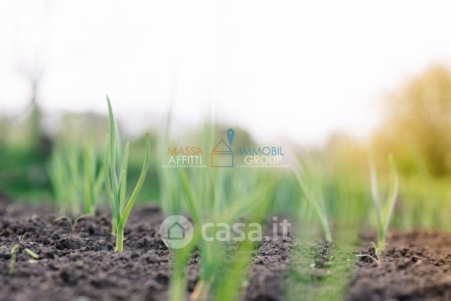 Terreno agricolo in commerciale in Viale della Repubblica 78