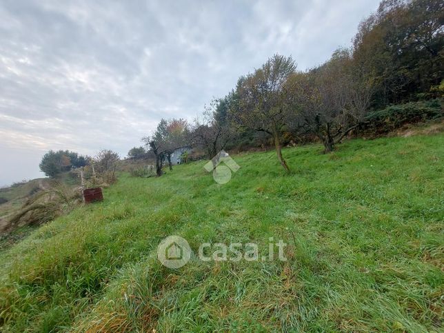 Terreno agricolo in commerciale in Strada Canalassa