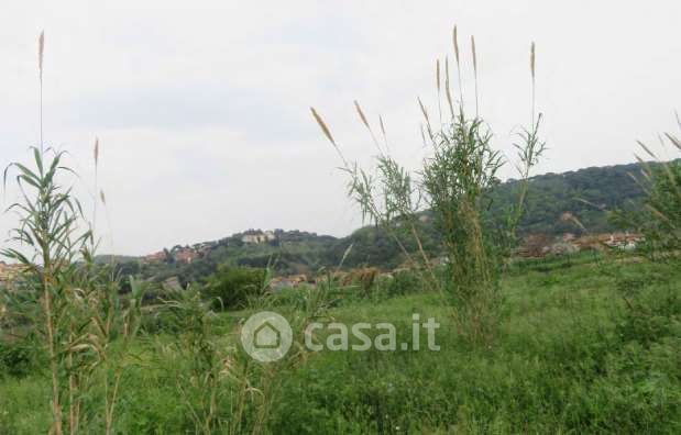 Terreno agricolo in commerciale in Via di Mezzo