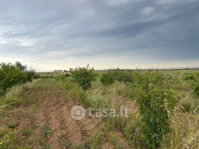 Terreno agricolo in commerciale in 