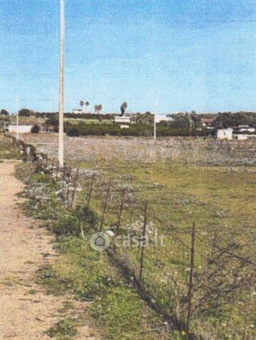 Terreno agricolo in commerciale in Strada Statale 385