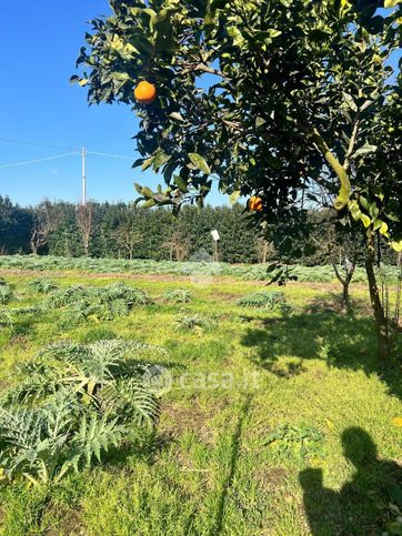 Terreno agricolo in commerciale in Via Volturno 120