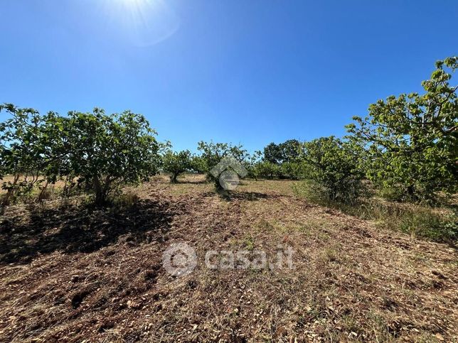 Terreno agricolo in commerciale in 