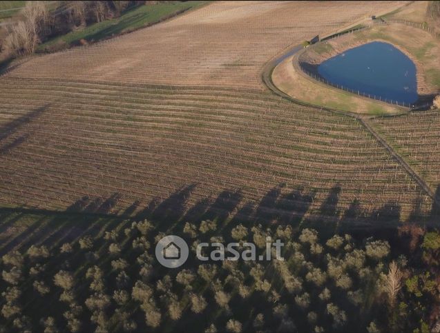 Terreno agricolo in commerciale in San Casciano in Val di Pesa