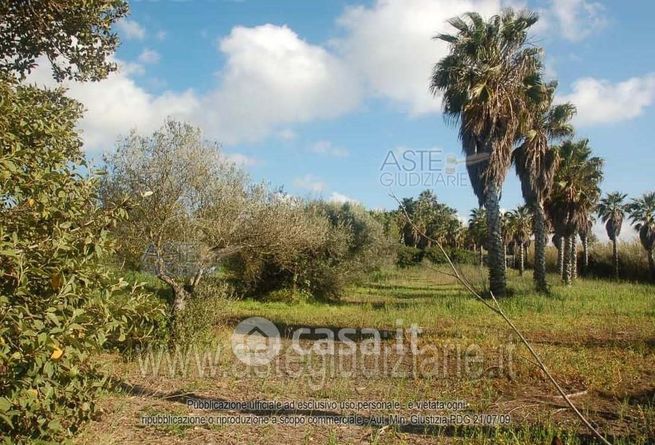 Terreno agricolo in commerciale in 