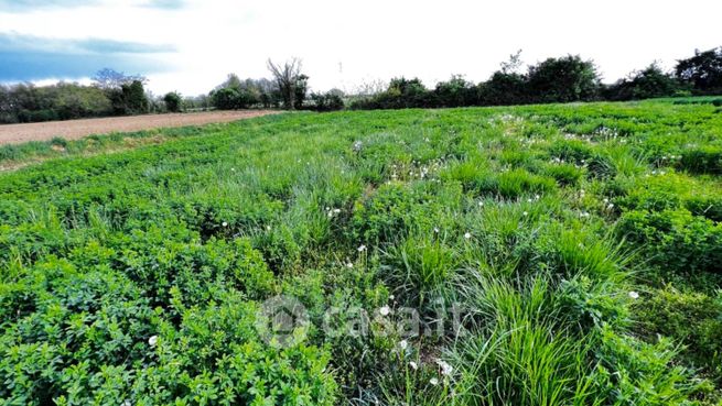 Terreno agricolo in commerciale in Via G.Garibaldi