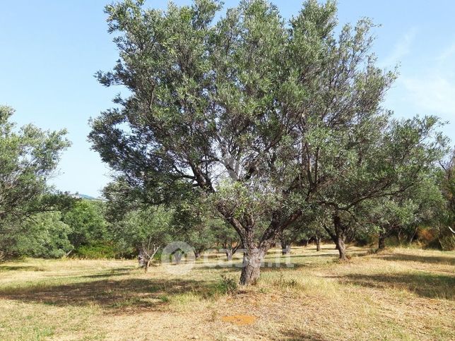 Terreno agricolo in commerciale in Strada Statale 180