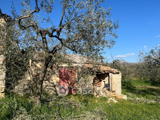 Terreno agricolo in commerciale in Strada Zamponare