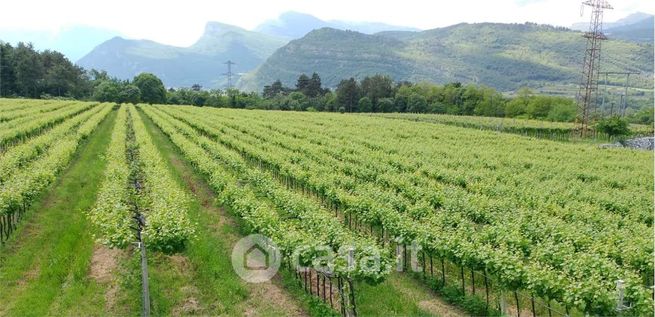 Terreno agricolo in commerciale in Via della Pinera 150