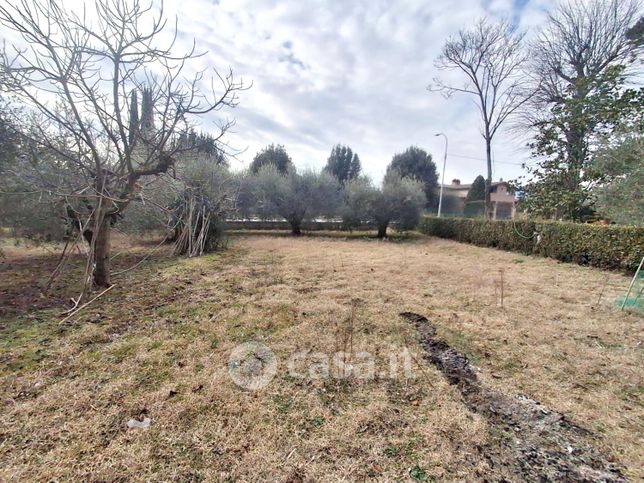 Terreno agricolo in commerciale in Strada Tiberina Nord 201