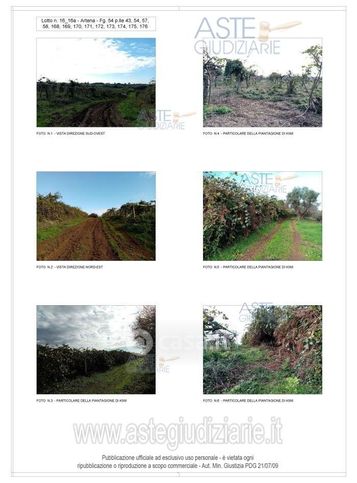 Terreno agricolo in commerciale in 