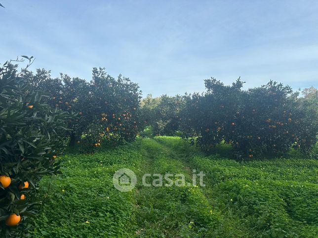 Terreno agricolo in commerciale in 