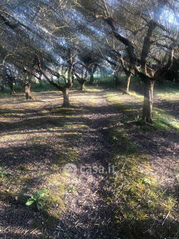 Terreno agricolo in commerciale in 