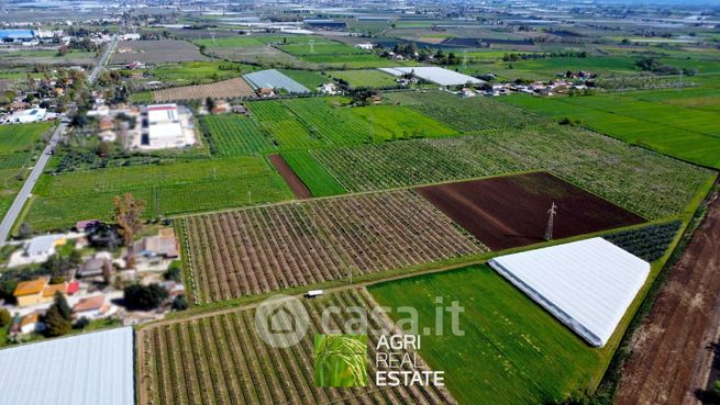 Terreno agricolo in commerciale in Via Nettuno 205