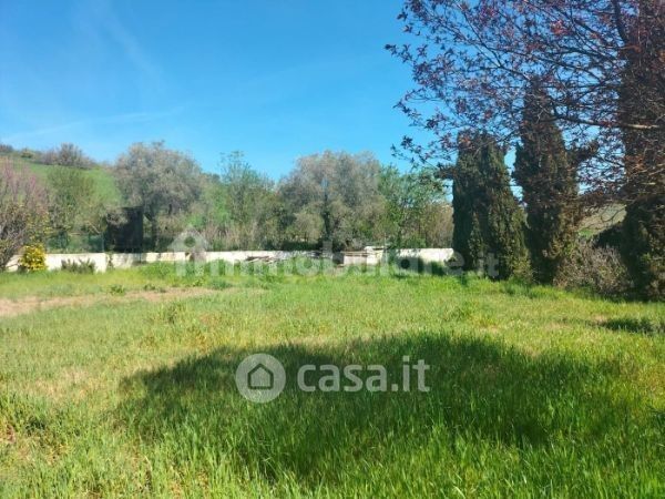 Terreno agricolo in commerciale in Via Pianacci