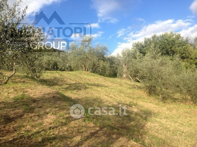 Terreno agricolo in commerciale in Via Tofori