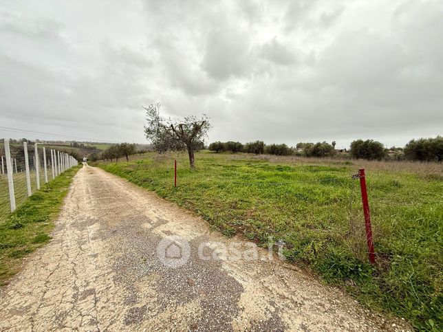 Terreno agricolo in commerciale in Via della Madonnina
