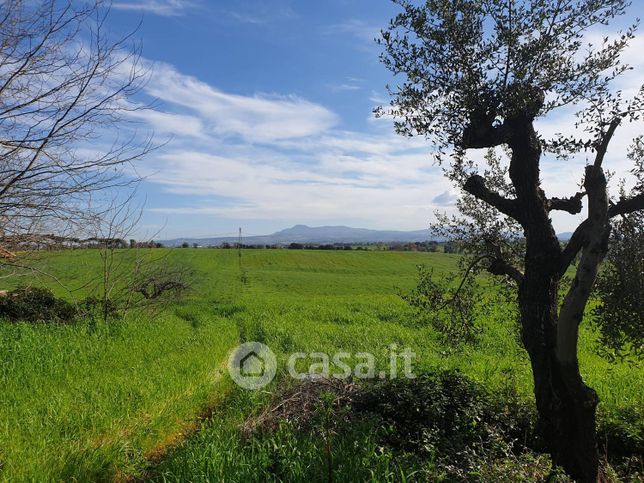 Terreno agricolo in commerciale in Via delle Vittorie 1