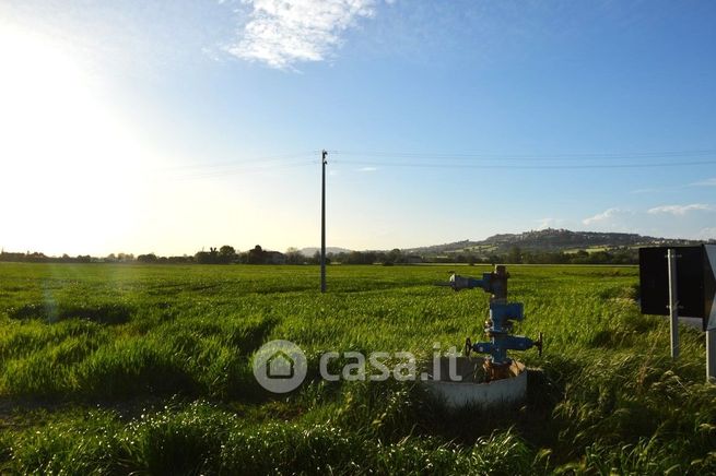 Terreno agricolo in commerciale in 