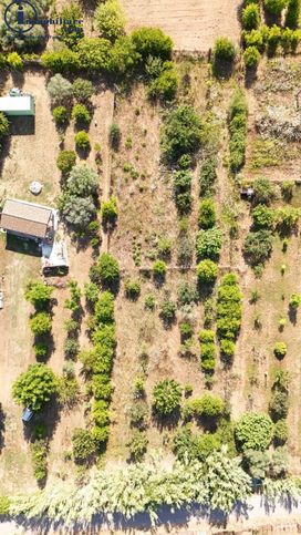 Terreno agricolo in commerciale in Strada Senza Nome