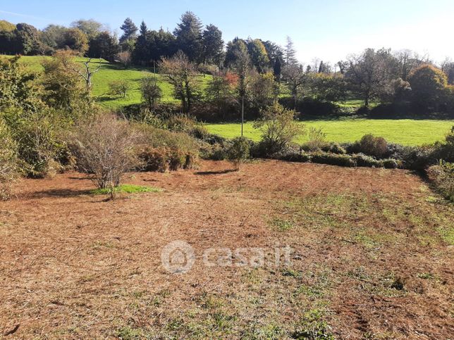 Terreno agricolo in commerciale in Via Prenestina Antica