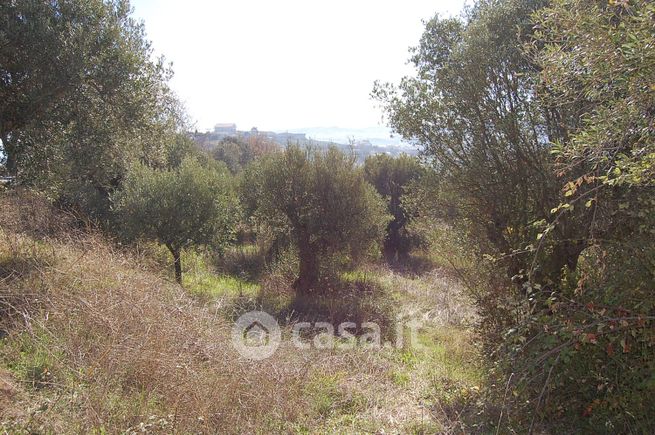 Terreno agricolo in commerciale in Contrada Belsito 9