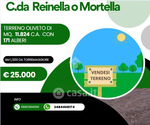 Terreno agricolo in commerciale in Via Reinella