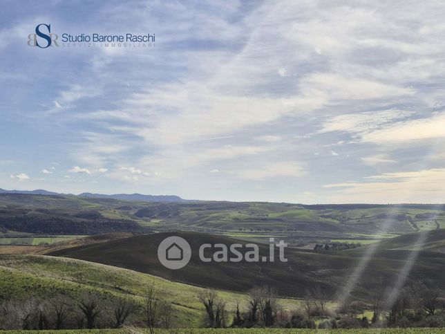Terreno agricolo in commerciale in Strada Montebello Casalino