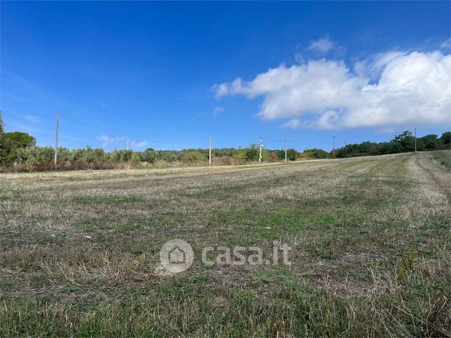 Terreno agricolo in commerciale in Contrada Mosti