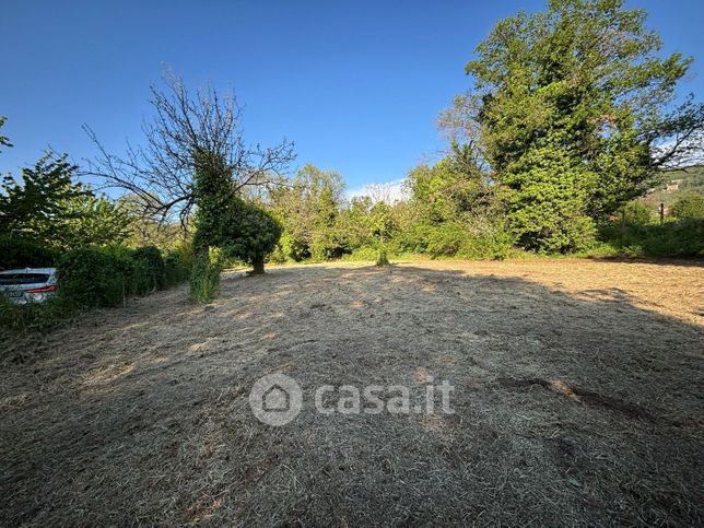 Terreno agricolo in commerciale in Via Vicinale dei Colli