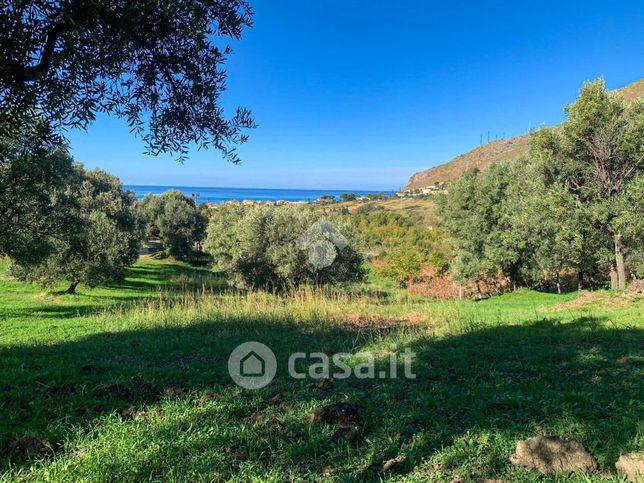 Terreno agricolo in commerciale in Contrada Carratelli