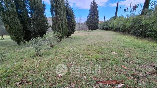 Terreno agricolo in commerciale in Via Macchia Bruciata