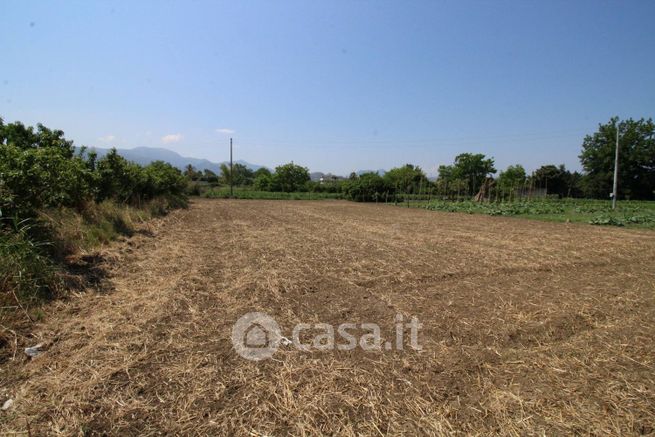 Terreno agricolo in commerciale in Via Catili
